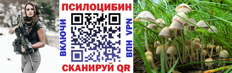 Галлюциногенные грибы мицелий  купить наркотик  Кунгур 